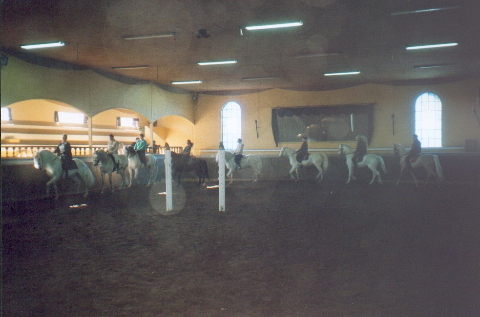 groupe(10).jpg