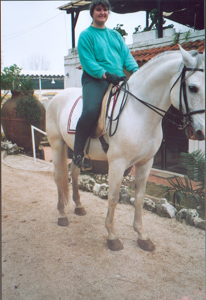 sophie-fox(13).jpg