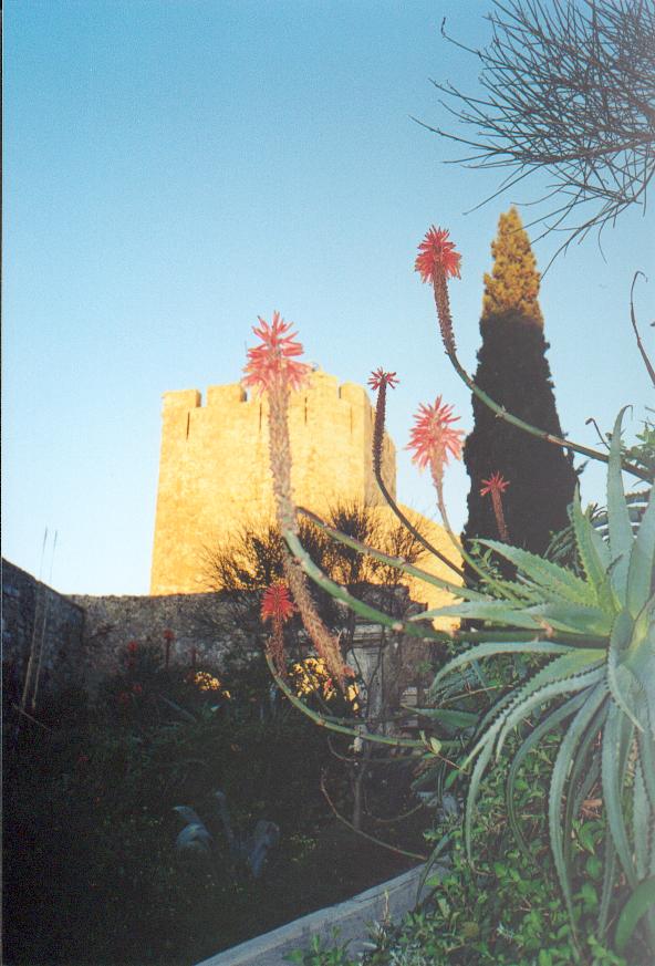 chateau(10).jpg