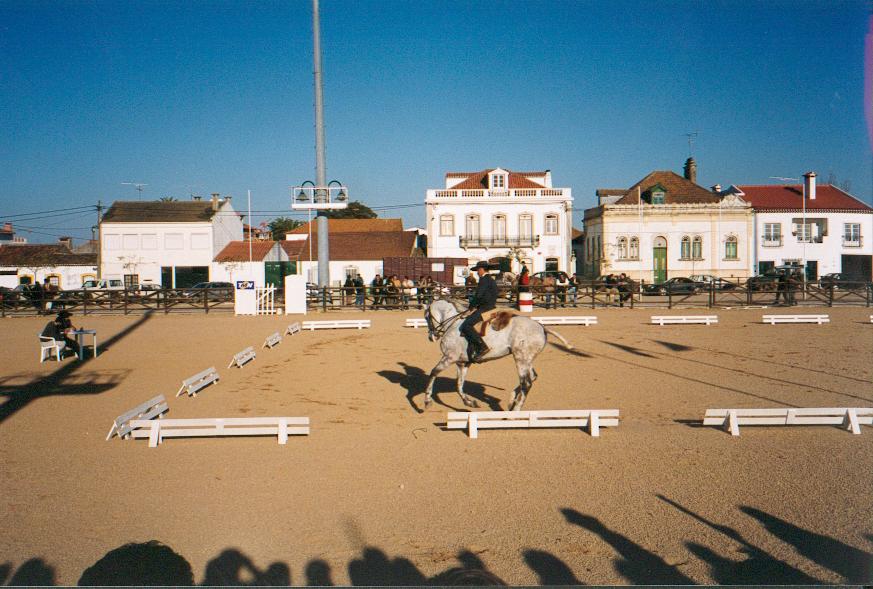 golega(27).jpg