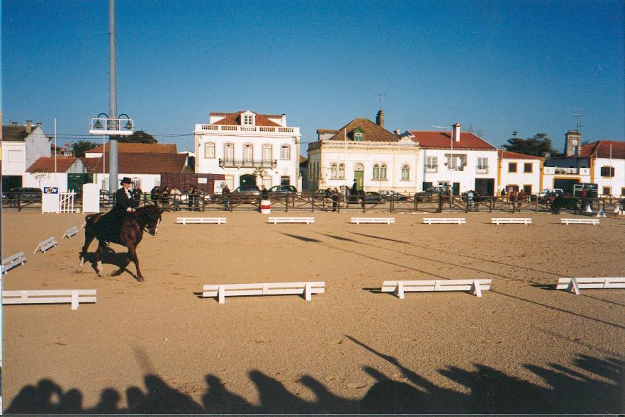 golega(31).jpg