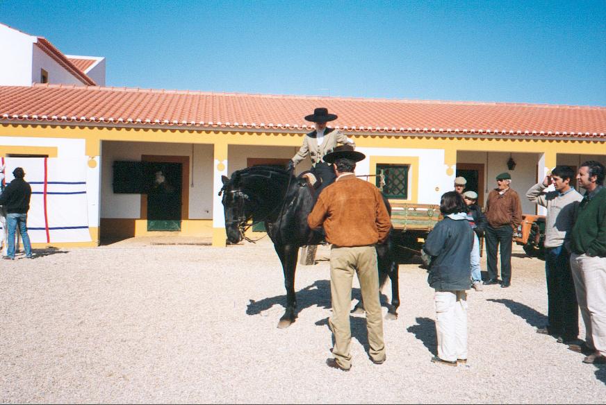 golega(33).jpg