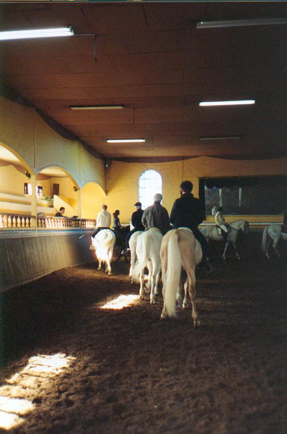 reprise(110).jpg
