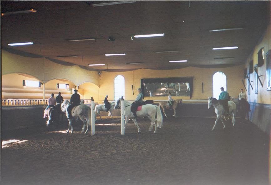 reprise(14).jpg