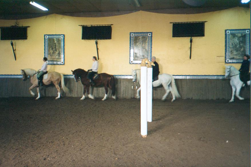reprise(15).jpg