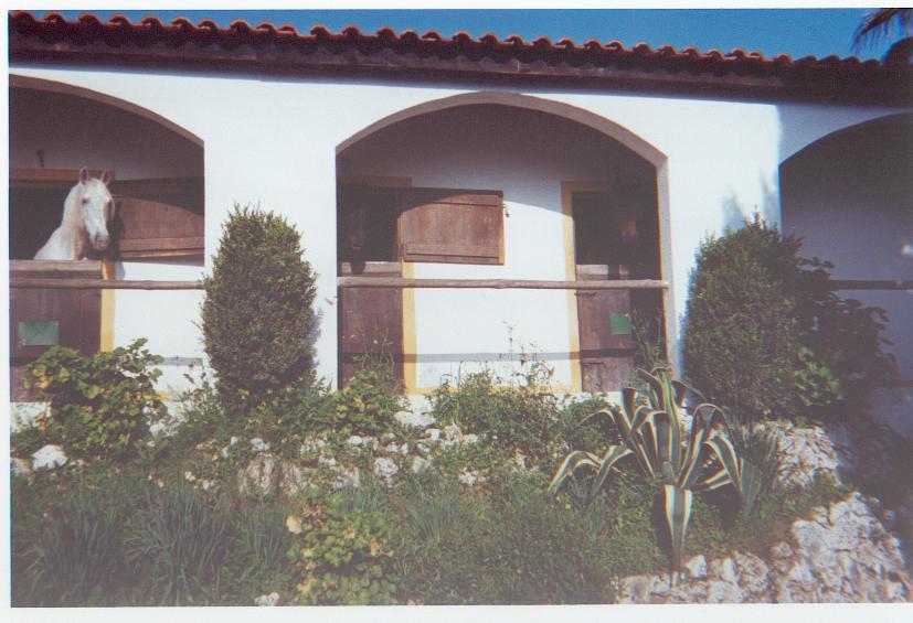 club2.jpg
