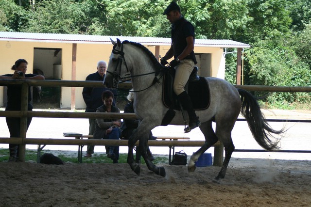 IMG_7497.JPG