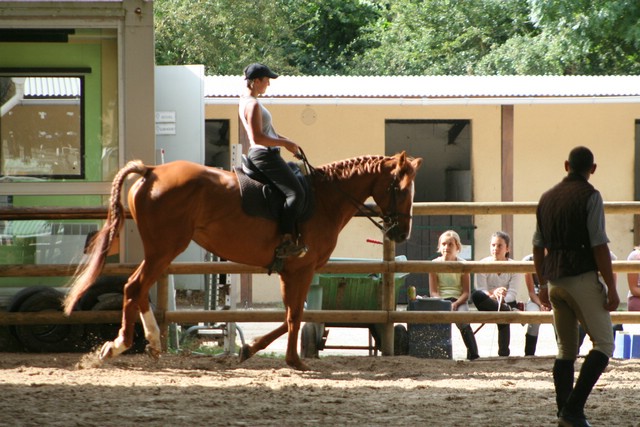 IMG_6115.JPG