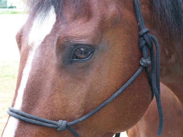 PICT0019.JPG