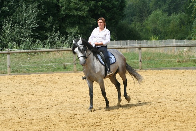 IMG_8884.JPG