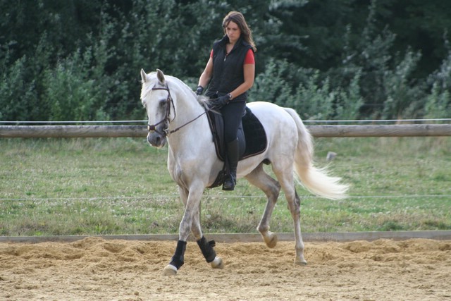IMG_8587.JPG