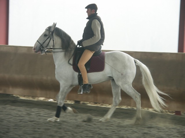 sergio16-3 040.jpg