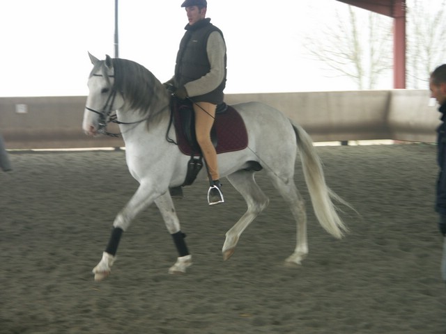sergio16-3 041.jpg