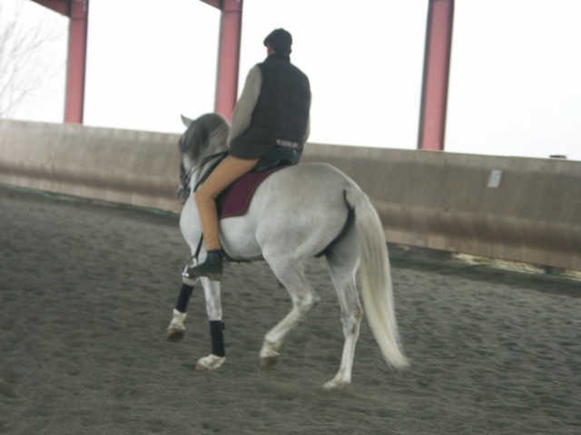 sergio16-3 044.jpg