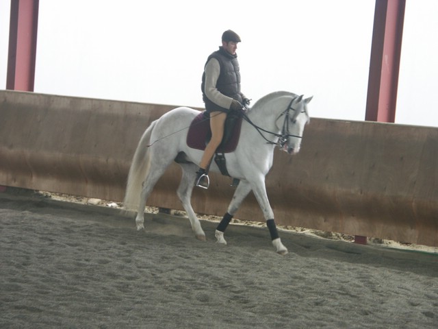 sergio16-3 046.jpg