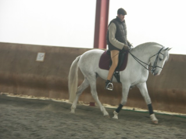 sergio16-3 047.jpg