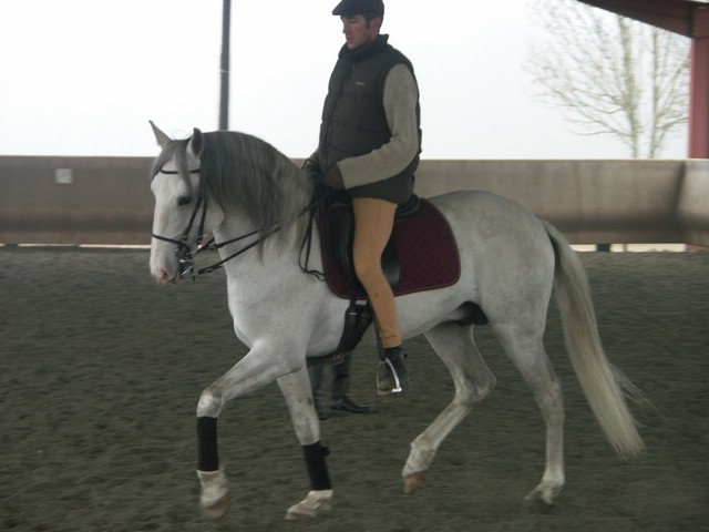 sergio16-3 052.jpg