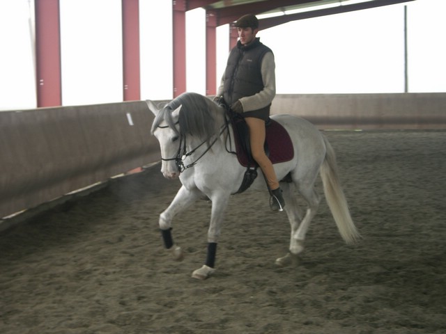 sergio16-3 053.jpg