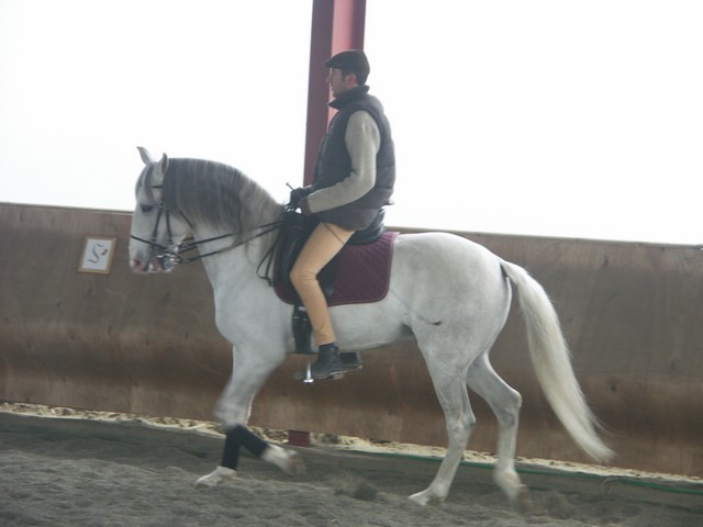 sergio16-3 054.jpg
