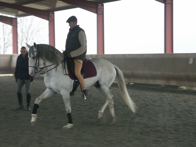 sergio16-3 055.jpg