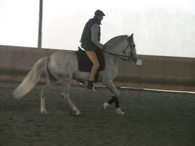 sergio16-3 082.jpg