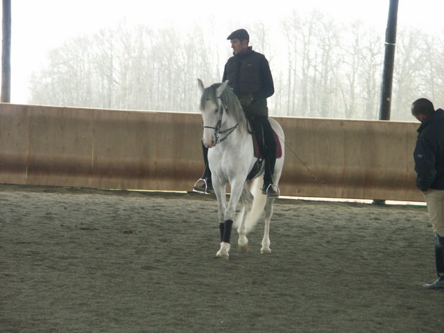 sergio17-3 001.jpg