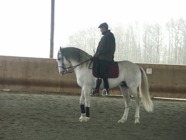 sergio17-3 002.jpg