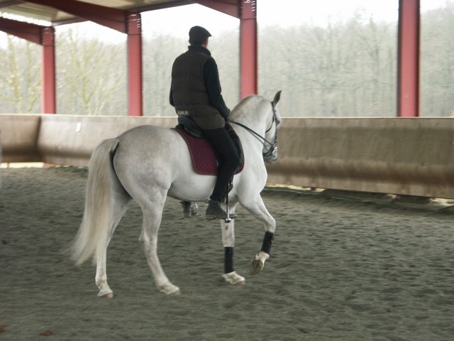 sergio17-3 010.jpg