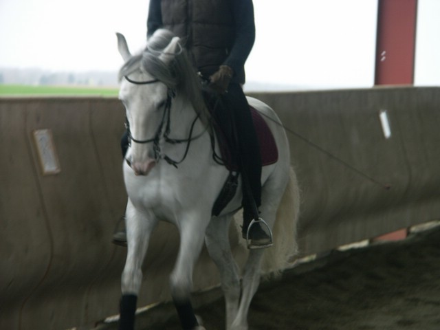 sergio17-3 022.jpg