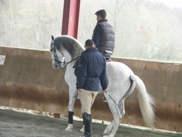 sergio17-3 029.jpg