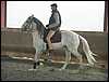 sergio16-3 040.jpg