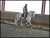 sergio16-3 046.jpg